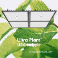 730nm Red Spectrum Grow LED pour la phase de floraison